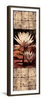 Waterlily Panel II-John Seba-Framed Premium Giclee Print