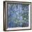 Waterlily Pond, C. 1916-19-Claude Monet-Framed Giclee Print