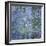 Waterlily Pond, C. 1916-19-Claude Monet-Framed Giclee Print