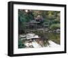 Waterlily Pond-null-Framed Art Print