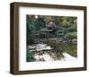 Waterlily Pond-null-Framed Art Print