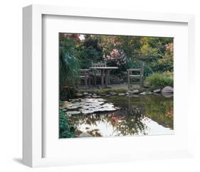 Waterlily Pond-null-Framed Art Print