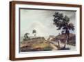 Brown Frame