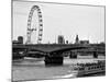 Waterloo Bridge and London Eye - Big Ben and Millennium Wheel - River Thames - City of London - UK-Philippe Hugonnard-Mounted Photographic Print