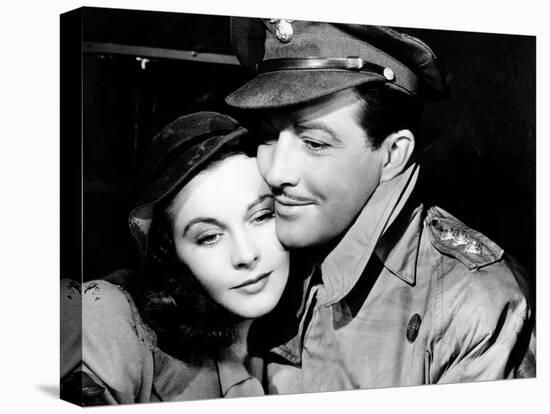 Waterloo Bridge, Vivien Leigh, Robert Taylor, 1940-null-Stretched Canvas