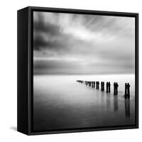 Watermaker-Craig Roberts-Framed Stretched Canvas