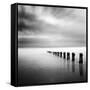 Watermaker-Craig Roberts-Framed Stretched Canvas