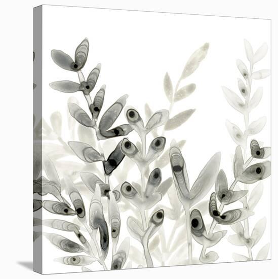 Watermark Foliage III-June Vess-Stretched Canvas