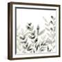 Watermark Foliage IV-June Vess-Framed Art Print