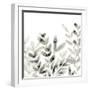 Watermark Foliage IV-June Vess-Framed Art Print