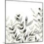 Watermark Foliage IV-June Vess-Mounted Art Print