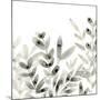 Watermark Foliage IV-June Vess-Mounted Art Print