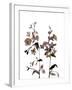 Watermark Wildflowers III-Jennifer Goldberger-Framed Art Print