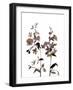 Watermark Wildflowers III-Jennifer Goldberger-Framed Art Print