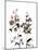 Watermark Wildflowers III-Jennifer Goldberger-Mounted Art Print