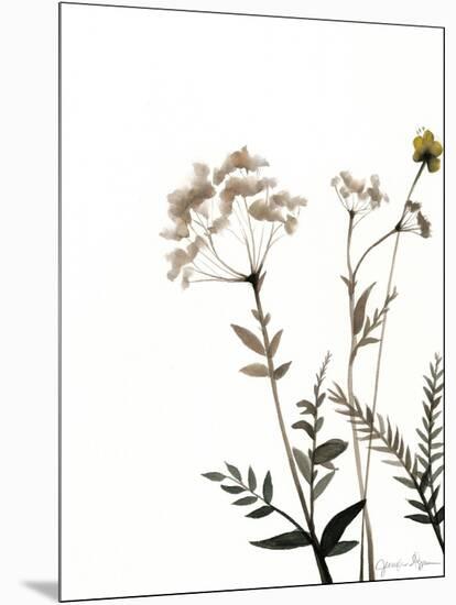 Watermark Wildflowers IX-Jennifer Goldberger-Mounted Art Print
