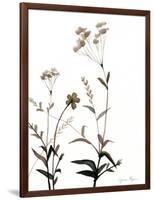 Watermark Wildflowers VII-Jennifer Goldberger-Framed Art Print