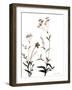 Watermark Wildflowers VII-Jennifer Goldberger-Framed Art Print