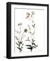 Watermark Wildflowers VII-Jennifer Goldberger-Framed Art Print