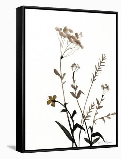 Watermark Wildflowers X-Jennifer Goldberger-Framed Stretched Canvas