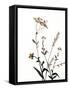 Watermark Wildflowers X-Jennifer Goldberger-Framed Stretched Canvas