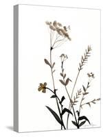Watermark Wildflowers X-Jennifer Goldberger-Stretched Canvas