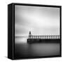 Watermason-Craig Roberts-Framed Stretched Canvas