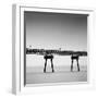 Watermechanic-Craig Roberts-Framed Photographic Print