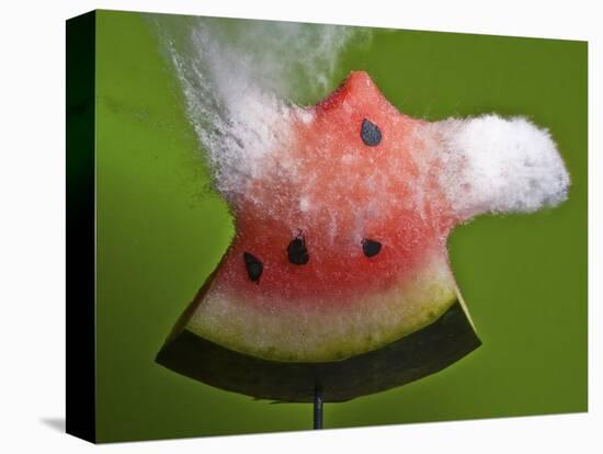 Watermelon Explosion-Alan Sailer-Stretched Canvas