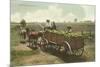 Watermelon in Cart, Lodi, California-null-Mounted Premium Giclee Print