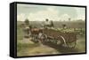 Watermelon in Cart, Lodi, California-null-Framed Stretched Canvas