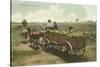 Watermelon in Cart, Lodi, California-null-Stretched Canvas
