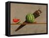 Watermelon Saw, 2011-Stewart Brown-Framed Stretched Canvas