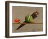 Watermelon Saw, 2011-Stewart Brown-Framed Giclee Print