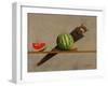 Watermelon Saw, 2011-Stewart Brown-Framed Giclee Print