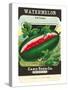 Watermelon Seed Packet-null-Stretched Canvas