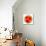 Watermelon Slice-Steve Gadomski-Mounted Photographic Print displayed on a wall