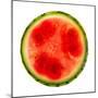 Watermelon Slice-Steve Gadomski-Mounted Photographic Print