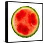 Watermelon Slice-Steve Gadomski-Framed Stretched Canvas