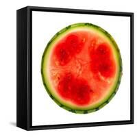 Watermelon Slice-Steve Gadomski-Framed Stretched Canvas