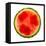 Watermelon Slice-Steve Gadomski-Framed Stretched Canvas