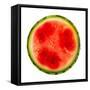 Watermelon Slice-Steve Gadomski-Framed Stretched Canvas