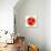 Watermelon Slice-Steve Gadomski-Stretched Canvas displayed on a wall