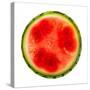 Watermelon Slice-Steve Gadomski-Stretched Canvas