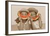 Watermelon Smiles-Betsy Cameron-Framed Art Print