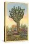 Watermelon Tree, Freak Saguaro Cactus-null-Stretched Canvas