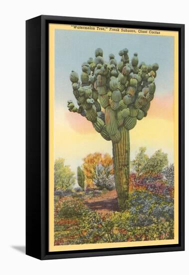 Watermelon Tree, Freak Saguaro Cactus-null-Framed Stretched Canvas