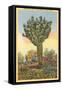 Watermelon Tree, Freak Saguaro Cactus-null-Framed Stretched Canvas