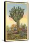 Watermelon Tree, Freak Saguaro Cactus-null-Framed Stretched Canvas