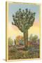 Watermelon Tree, Freak Saguaro Cactus-null-Stretched Canvas